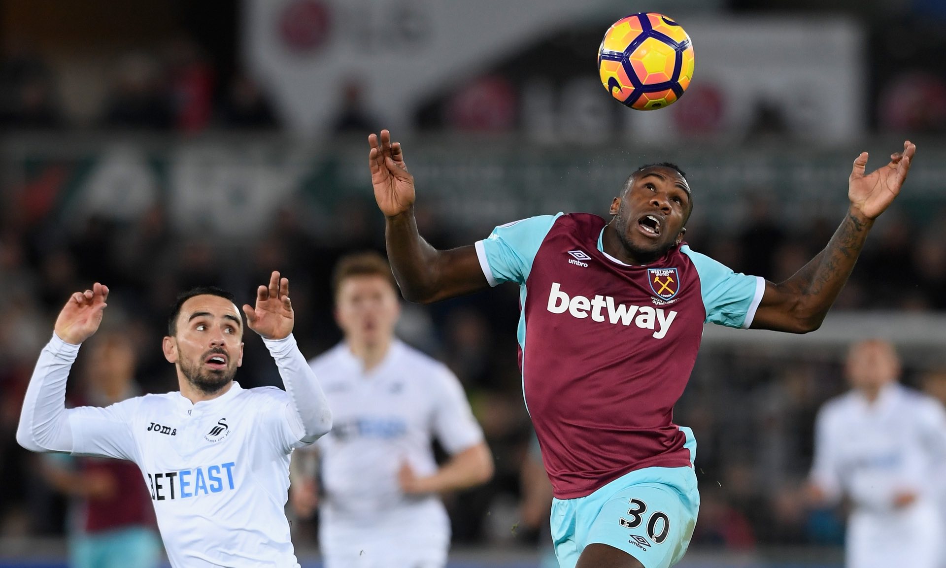 人才提供成 人才提供成